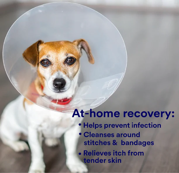 SkinSmart Antimicrobial Skin and Wound Care for Pets, Removes Bacteria to Promote Healing and Relieves Itch - Image 3