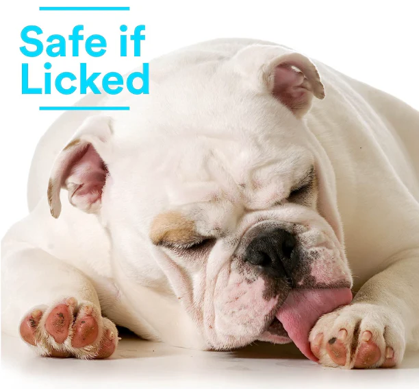 SkinSmart Antimicrobial Skin and Wound Care for Pets, Removes Bacteria to Promote Healing and Relieves Itch - Image 4