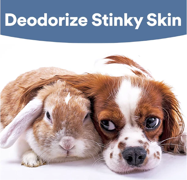 SkinSmart Antimicrobial Skin and Wound Care for Pets, Removes Bacteria to Promote Healing and Relieves Itch - Image 5
